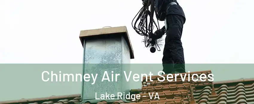  Chimney Air Vent Services Lake Ridge - VA