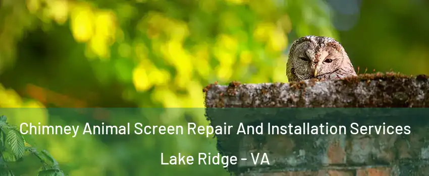  Chimney Animal Screen Repair And Installation Services Lake Ridge - VA
