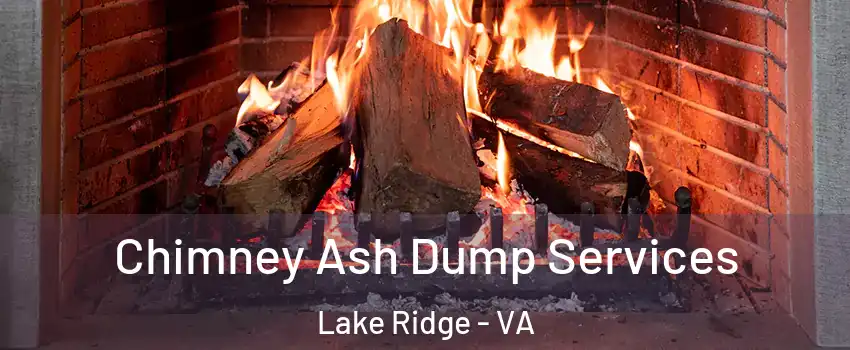  Chimney Ash Dump Services Lake Ridge - VA