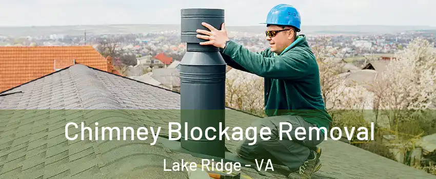  Chimney Blockage Removal Lake Ridge - VA