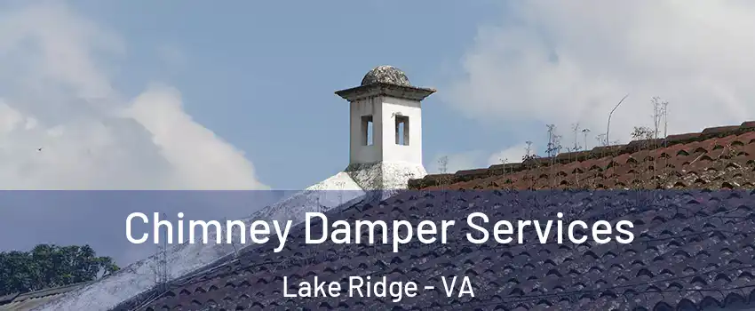  Chimney Damper Services Lake Ridge - VA