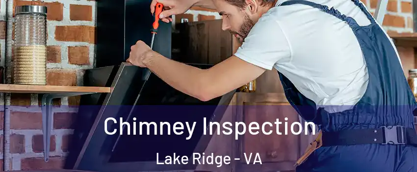  Chimney Inspection Lake Ridge - VA
