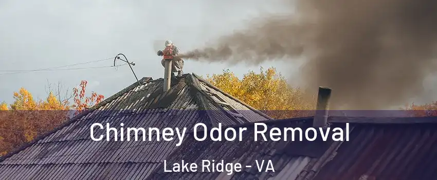  Chimney Odor Removal Lake Ridge - VA