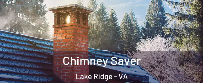  Chimney Saver Lake Ridge - VA