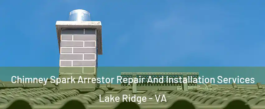  Chimney Spark Arrestor Repair And Installation Services Lake Ridge - VA