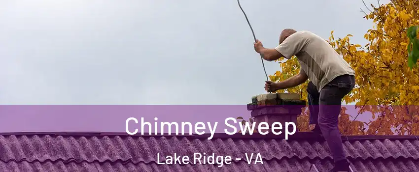  Chimney Sweep Lake Ridge - VA