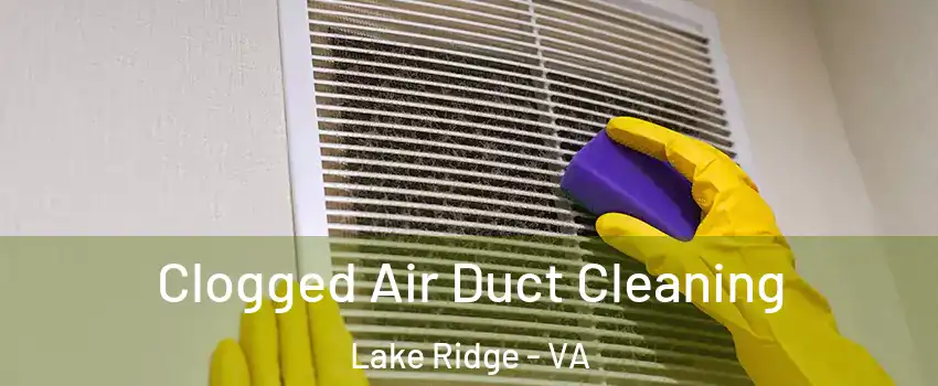  Clogged Air Duct Cleaning Lake Ridge - VA