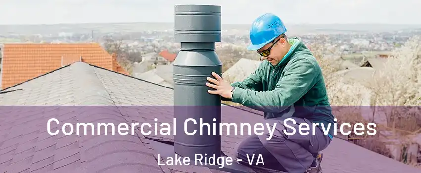  Commercial Chimney Services Lake Ridge - VA