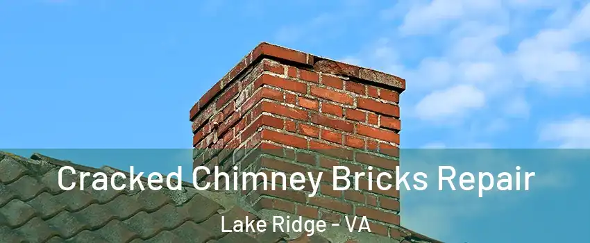  Cracked Chimney Bricks Repair Lake Ridge - VA