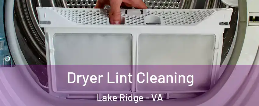  Dryer Lint Cleaning Lake Ridge - VA
