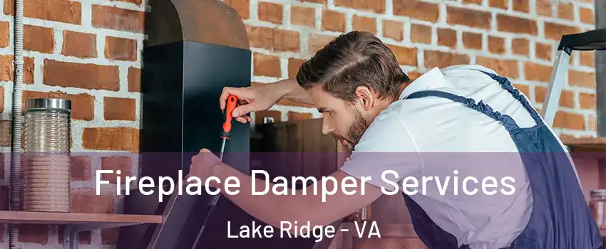  Fireplace Damper Services Lake Ridge - VA