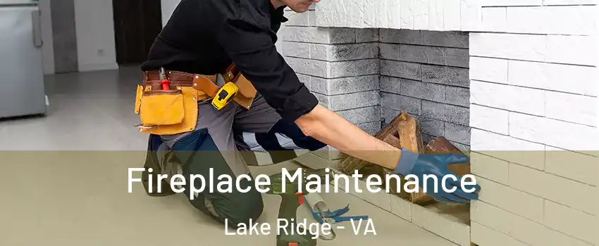  Fireplace Maintenance Lake Ridge - VA