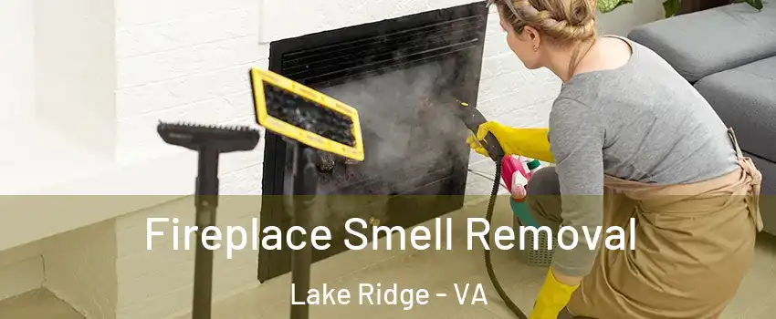  Fireplace Smell Removal Lake Ridge - VA