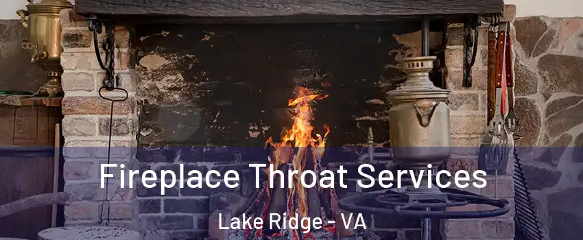  Fireplace Throat Services Lake Ridge - VA