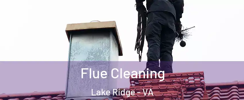  Flue Cleaning Lake Ridge - VA