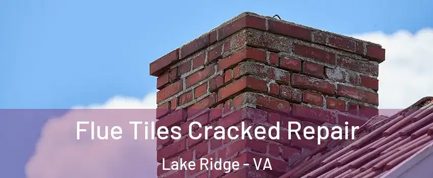  Flue Tiles Cracked Repair Lake Ridge - VA