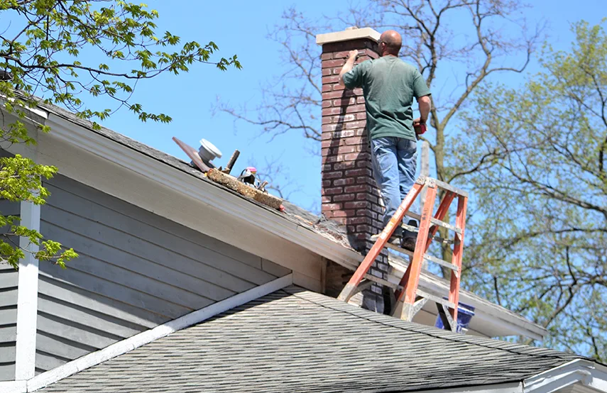 Chimney & Fireplace Inspections Services in Lake Ridge, VA