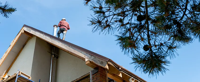 Birds Removal Contractors from Chimney in Lake Ridge, VA