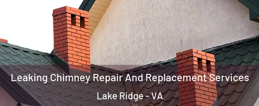 Leaking Chimney Repair And Replacement Services Lake Ridge - VA