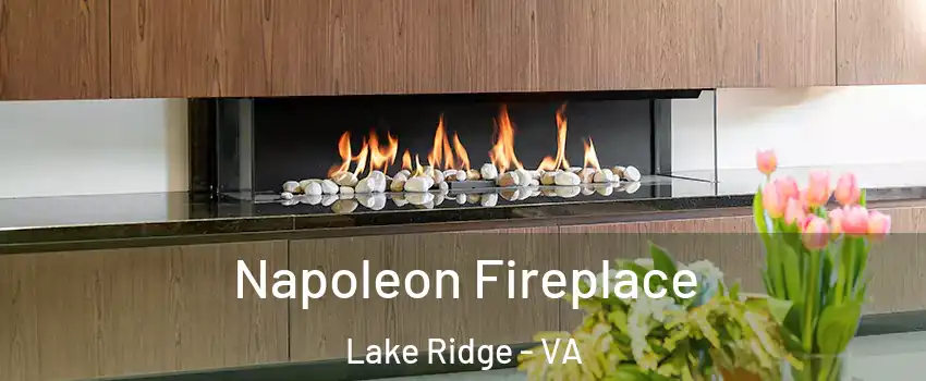  Napoleon Fireplace Lake Ridge - VA