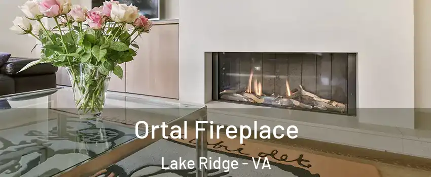  Ortal Fireplace Lake Ridge - VA